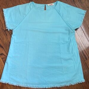Light blue Boutique Top